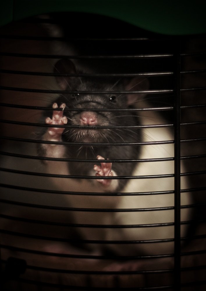 Photograph by Евгения Сафронова