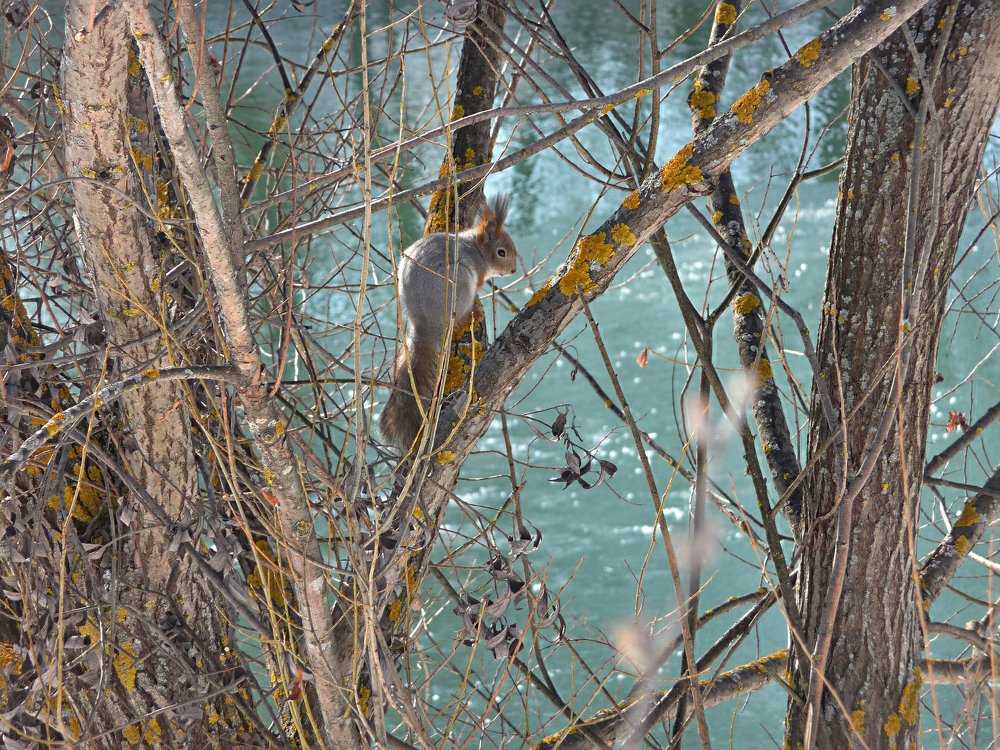 Фотография автора Клавдия Васильева