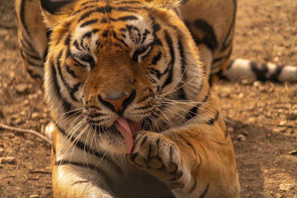 Photograph by Роман Надточий