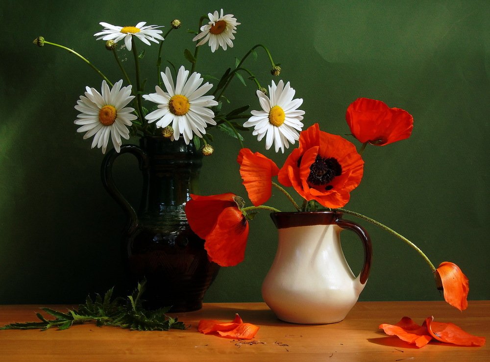 Маки и ромашки