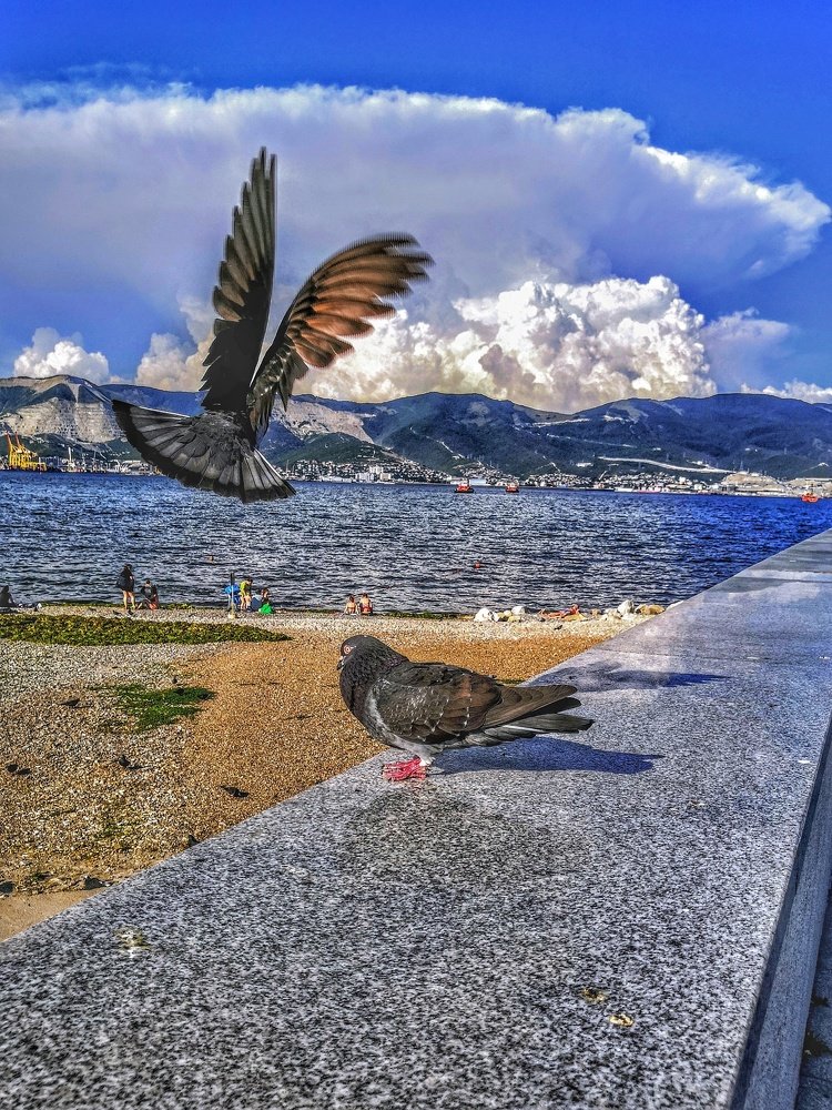 Набережная, город Новороссийск