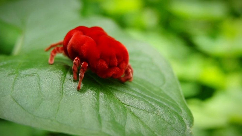 Just Love the nature