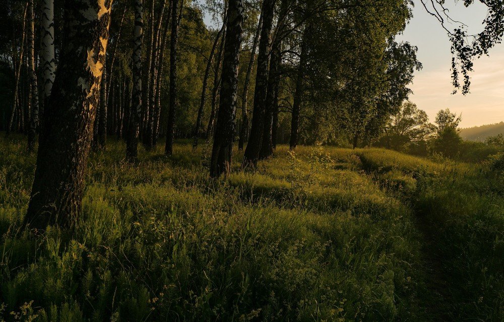 Photograph by Евгений Сеничев