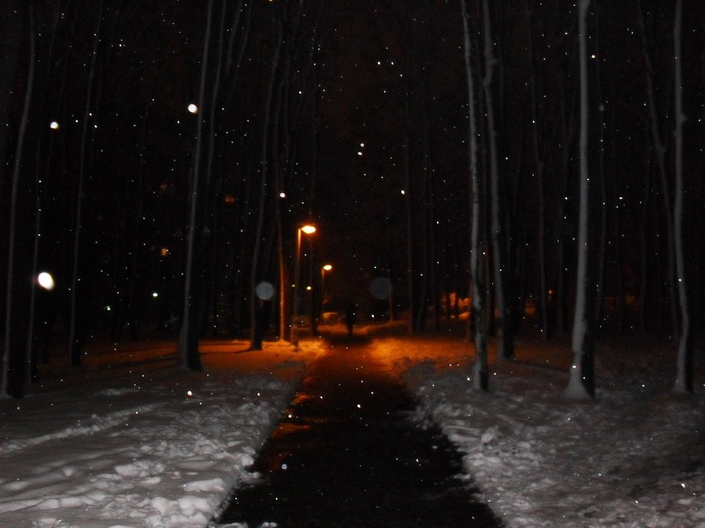 Photograph by Vladimir