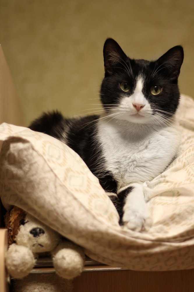 Photograph by Евгения Сафронова