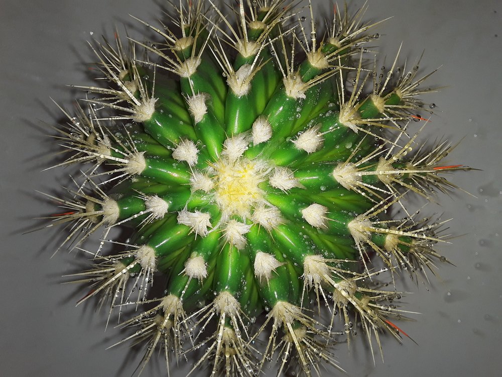 Photograph by Татьяна Собенникова