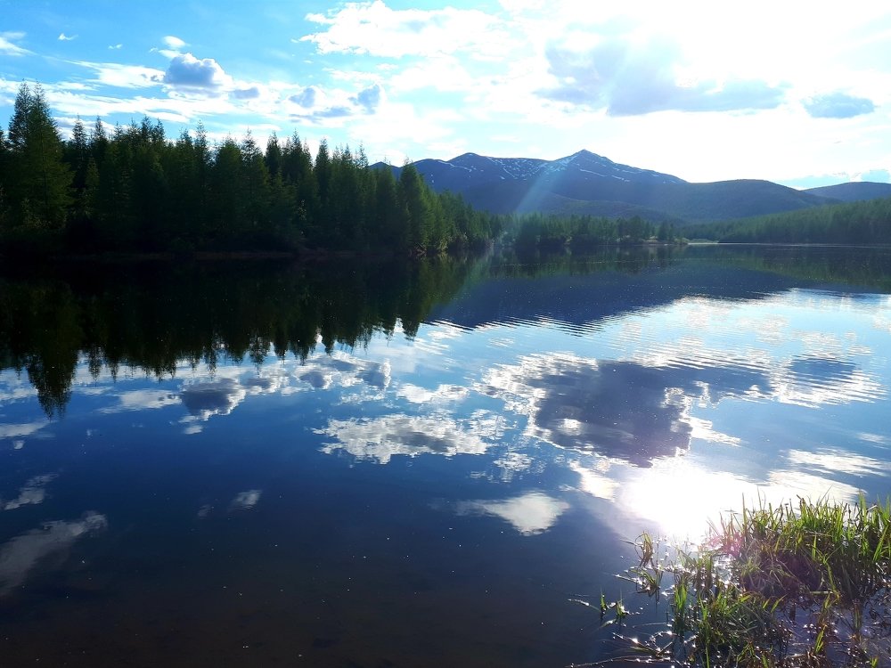 Photograph by Елена Беломестнова