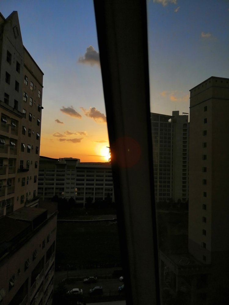 Photo #4681445