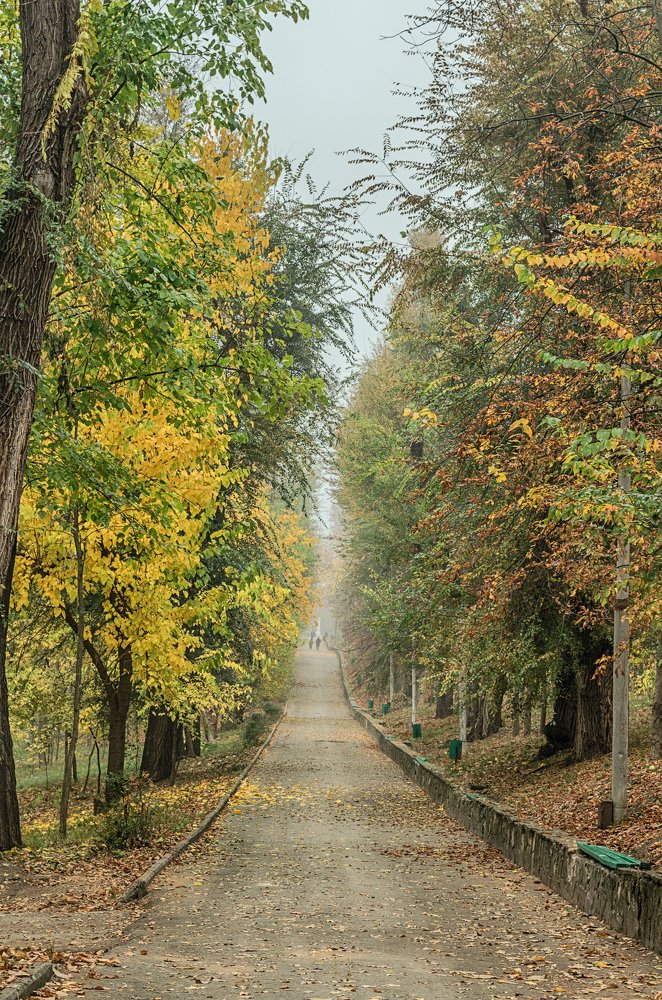 Фотография автора Владимир Троян