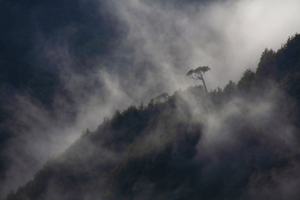 Niebla sobre la montaña