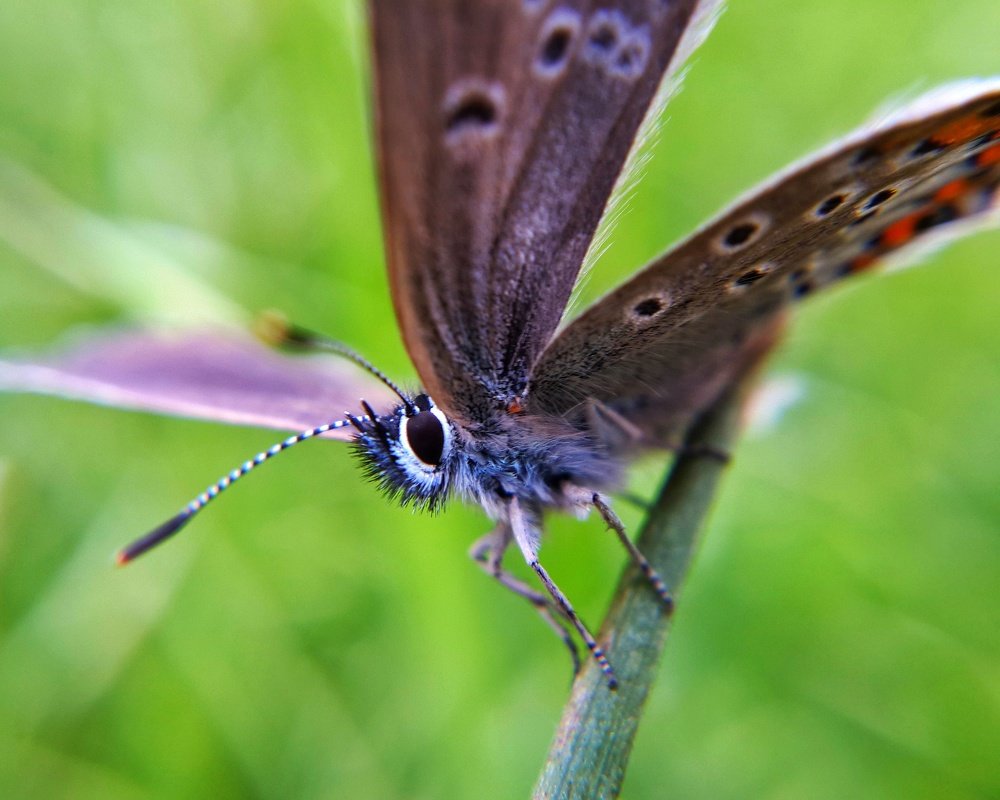 Фотография автора Дмитрий Деревянко