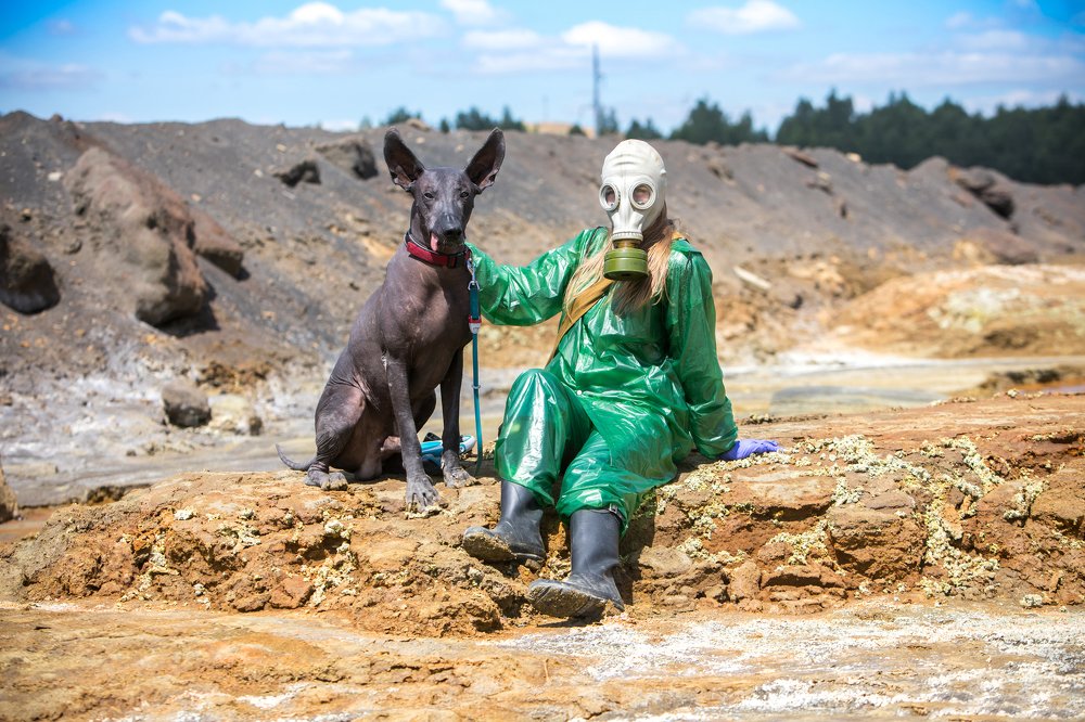 Photograph by Дмитрий Алабугин