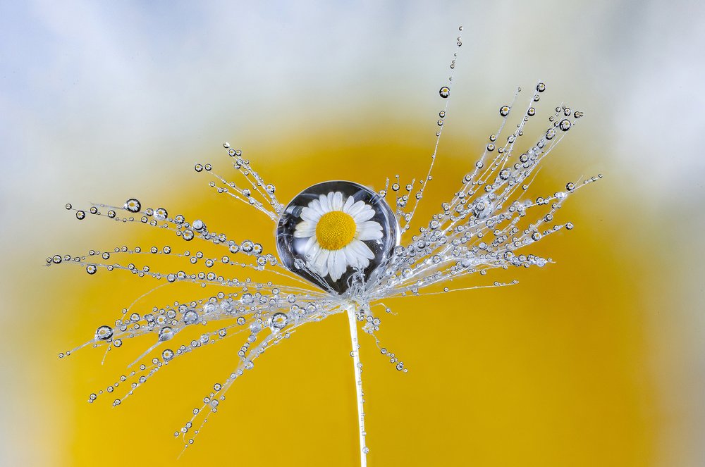 Photograph by Иван Радьков