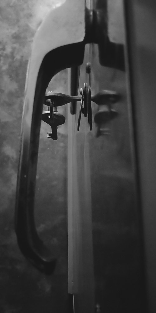 Photo #4681859