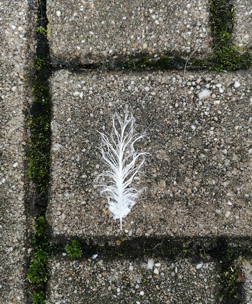 После дождя