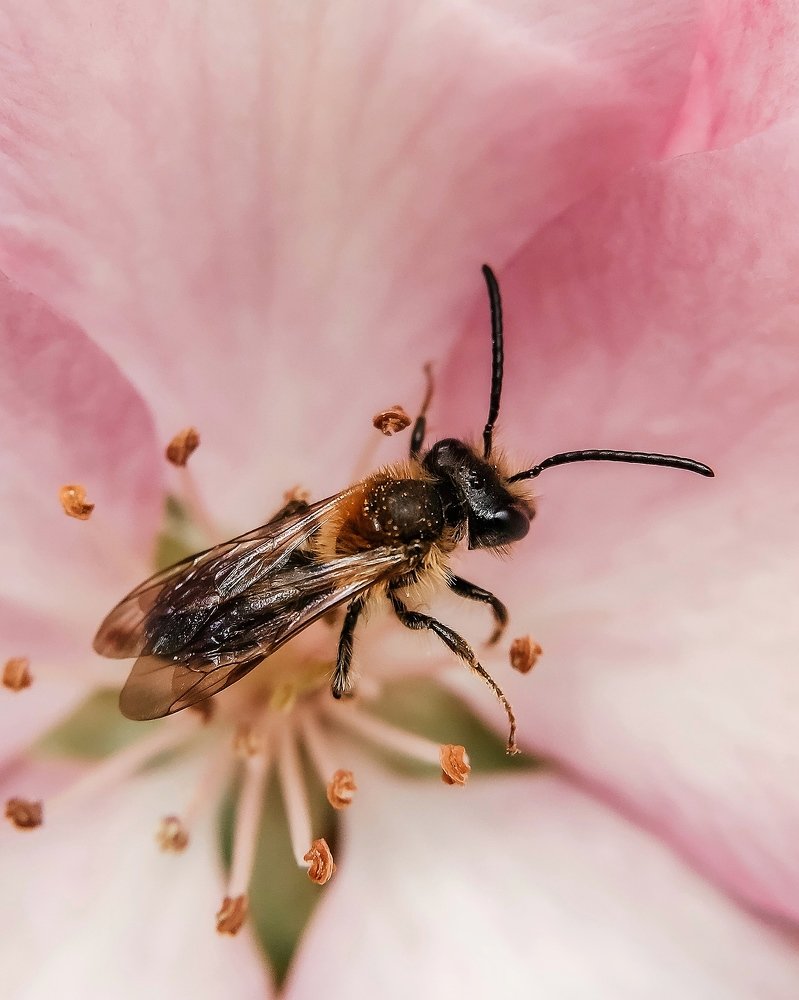 Photograph by Наталья Мальцева