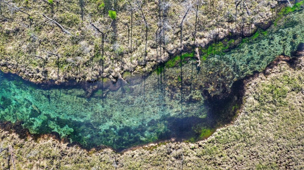 Фотография автора Юлия Егорова