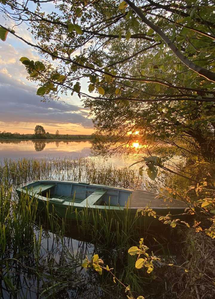 Photograph by Анатолий Андреев