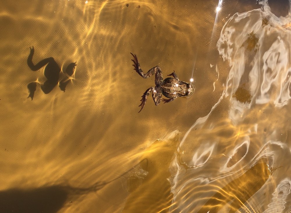 Photograph by ЮЛИЯ СУЛИМОВА