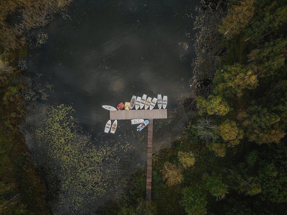 Лодочный пирс в лесу