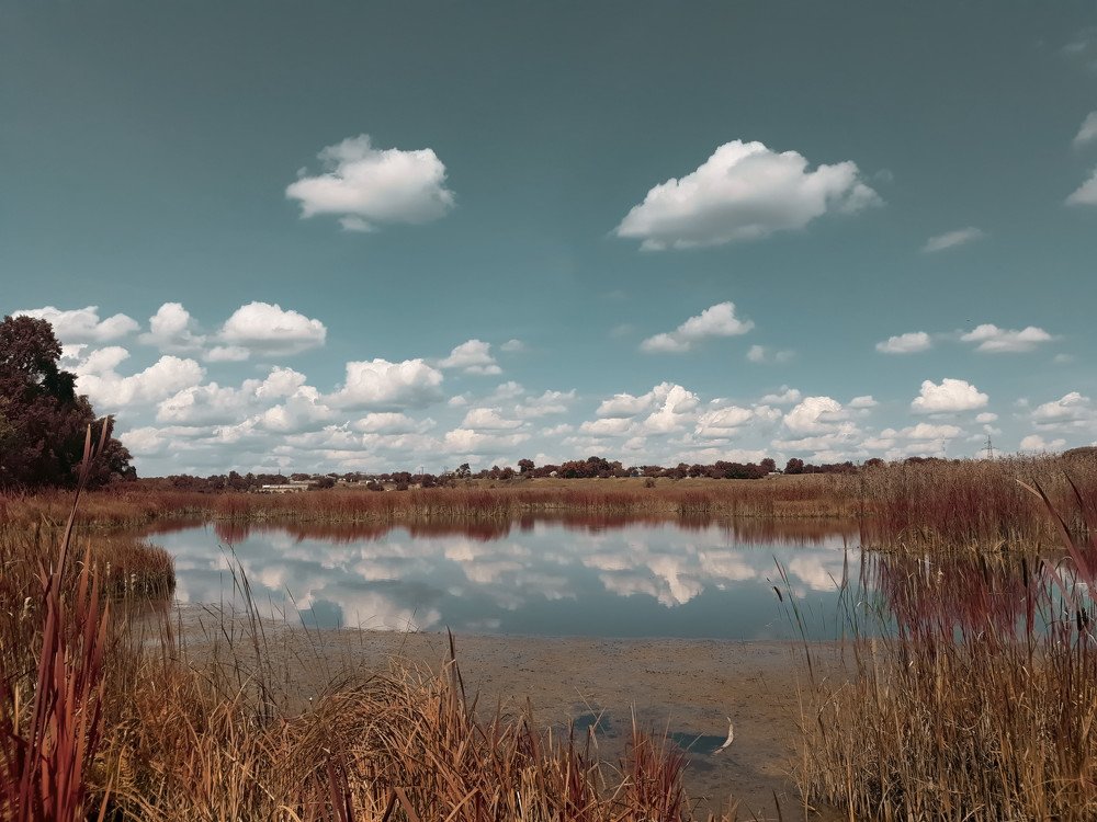 Photograph by Екатерина