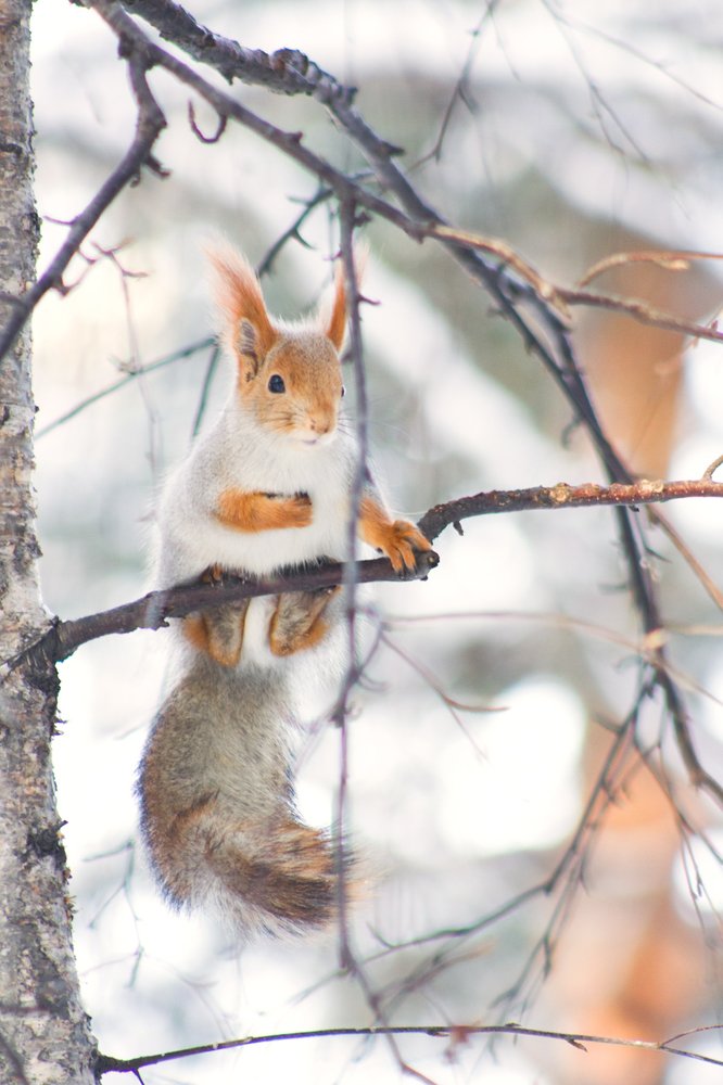 Photograph by Елена Сизых