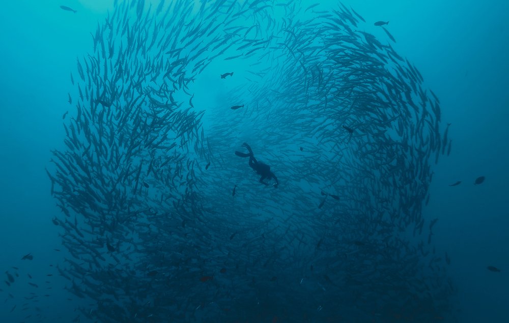 Фотография автора Димитрий Евтушик