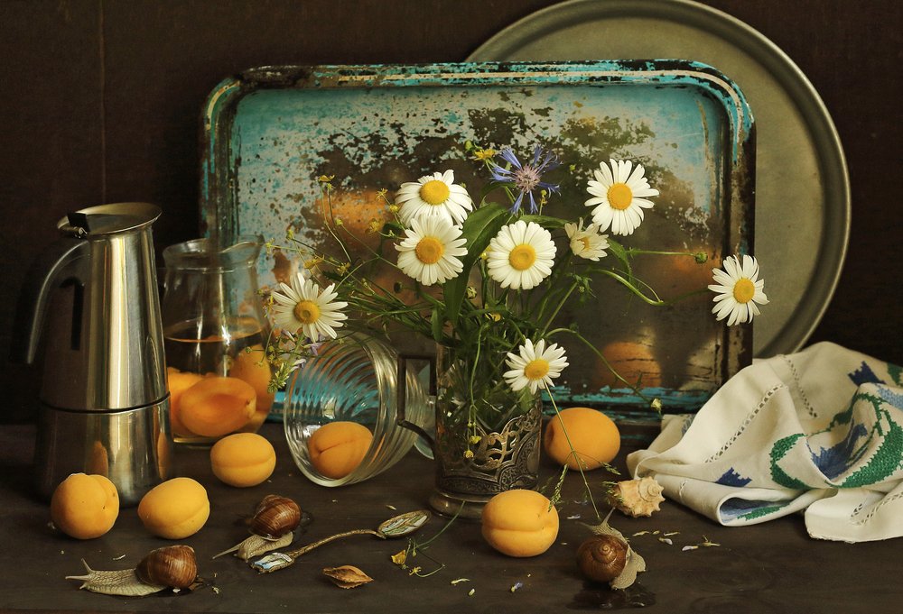 Маленькие хозяйки большого дома