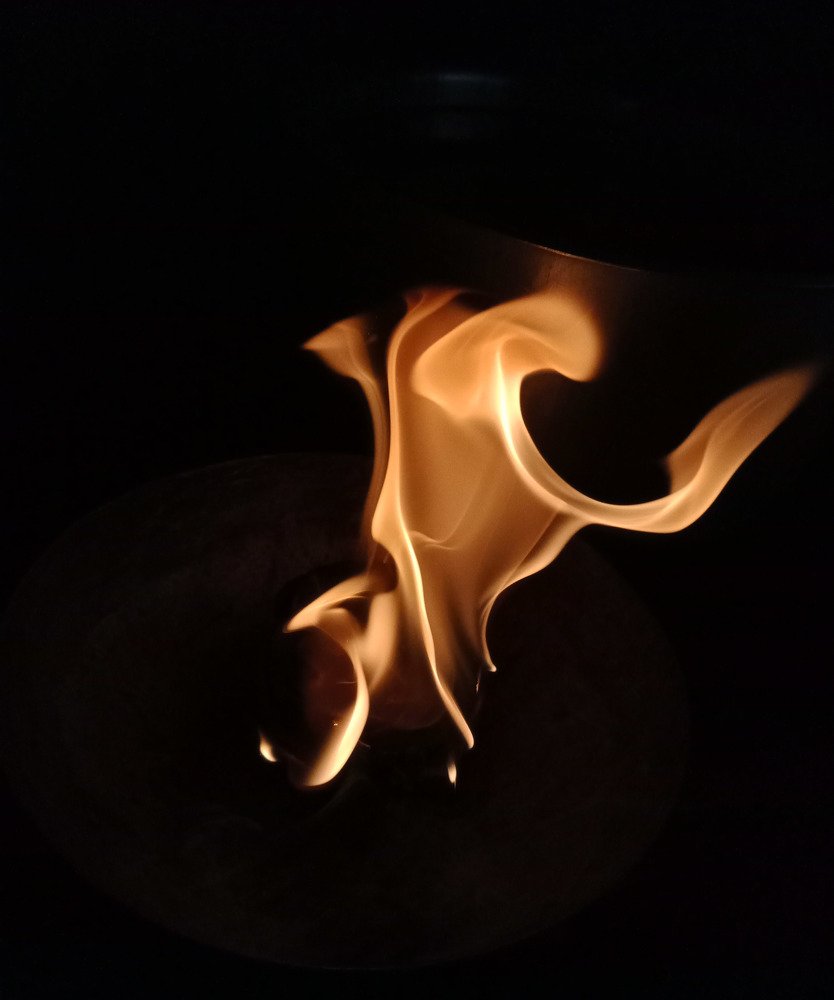 Photograph by Tapashya Pihwal