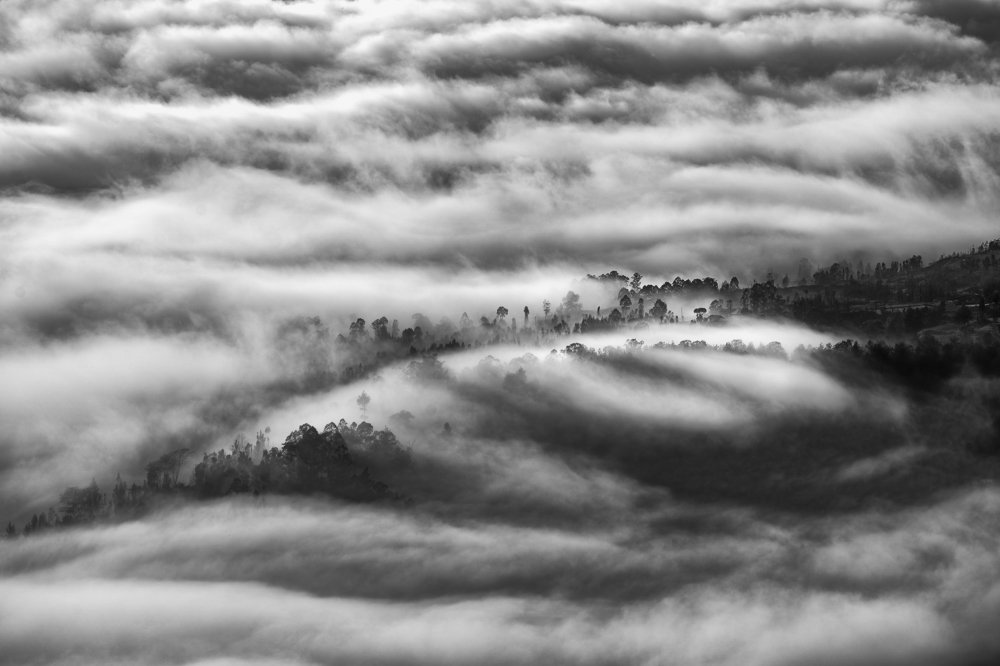 Wind Sonata in C Major