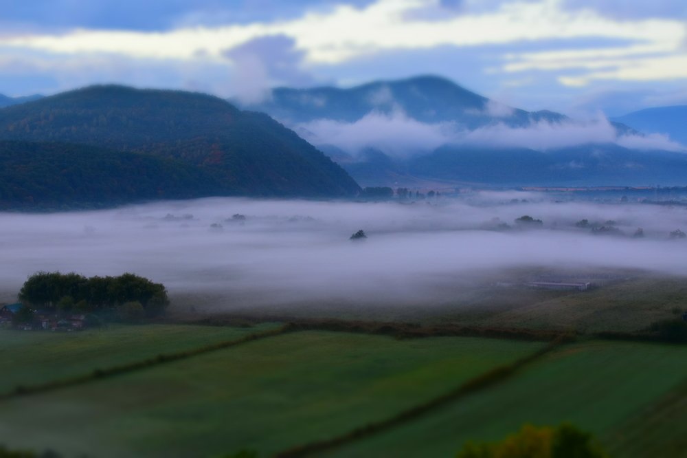 Фотография автора Bercaru Diana