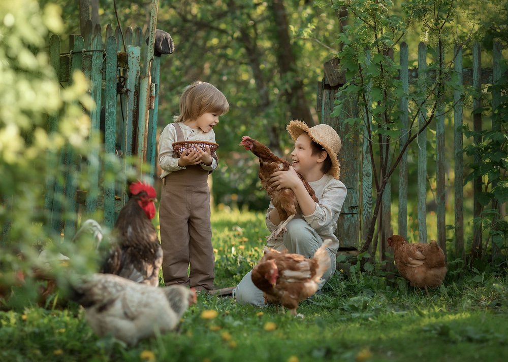 Деревенские истории