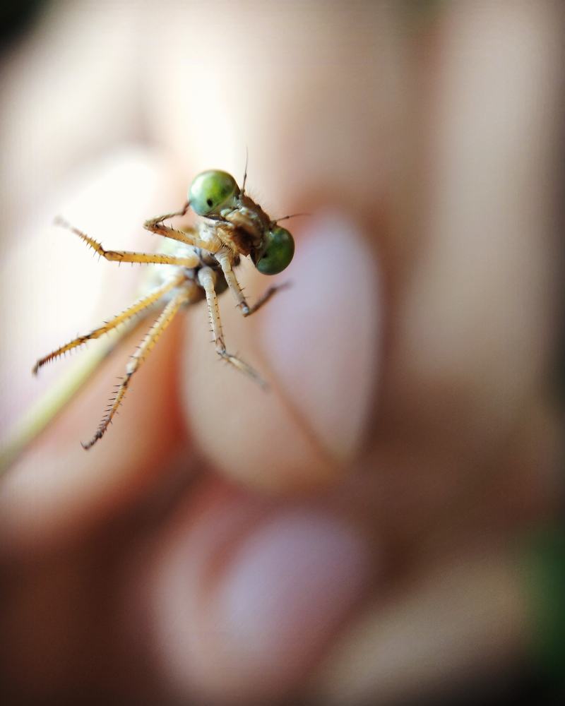 Photograph by Renz Adrian Ronda