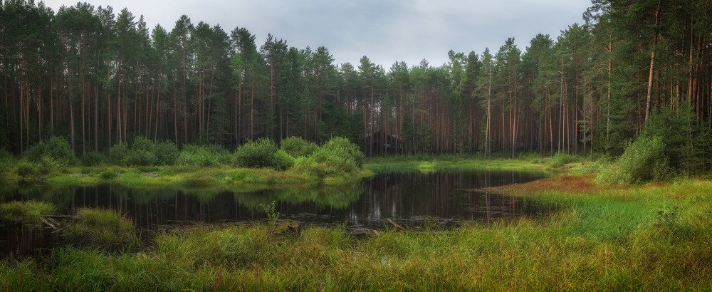 Лесное озеро