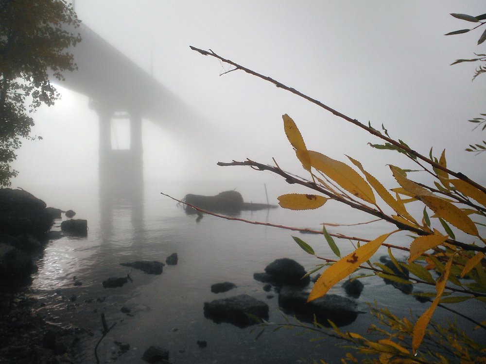 Мост в тумане