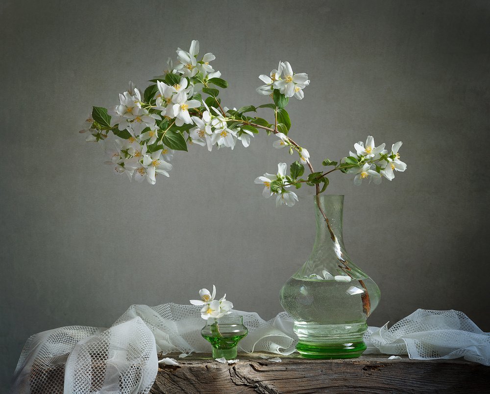 Жасминовая нежность