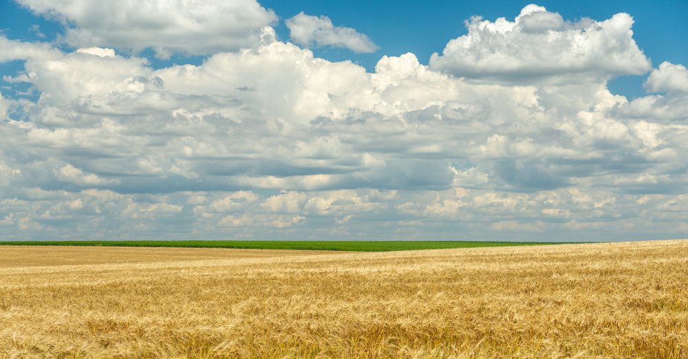 Photograph by Pucs Fongabe