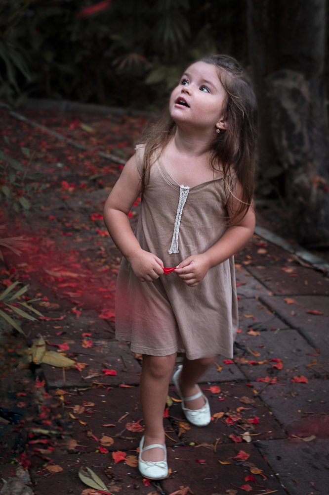 Прогулка под Огненным деревом