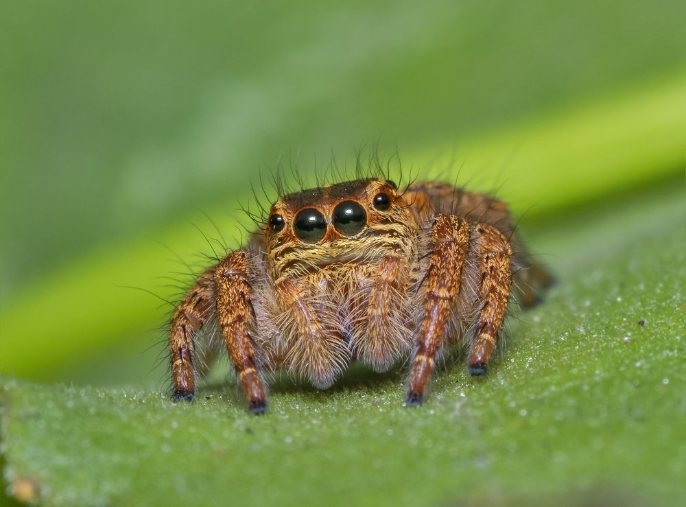 Photograph by Souvick Mukherjee