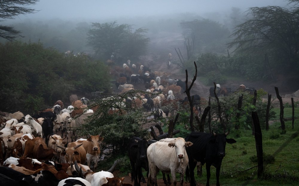 Photograph by Дмитрий Николаев