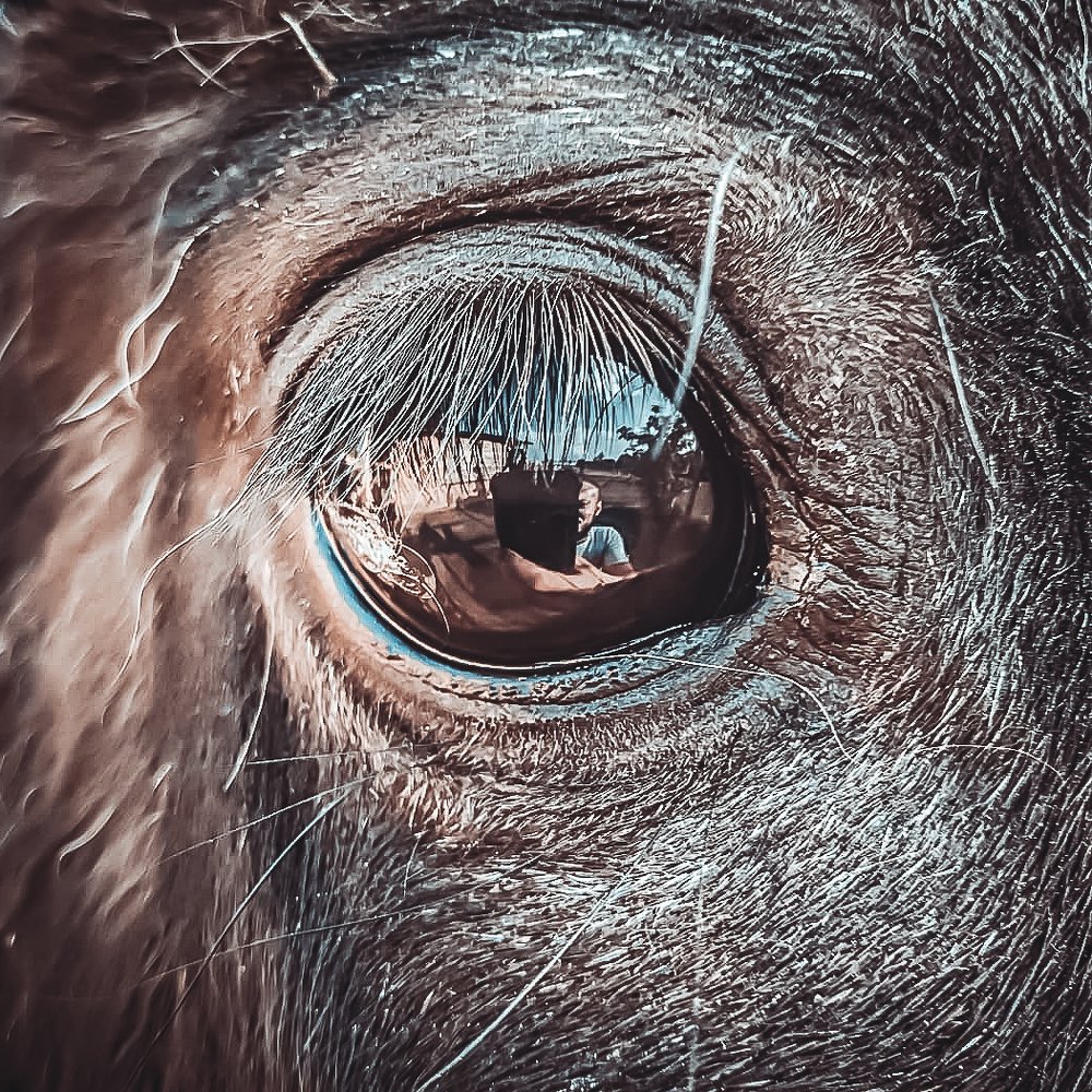 Photograph by Mikalai Stralchuk