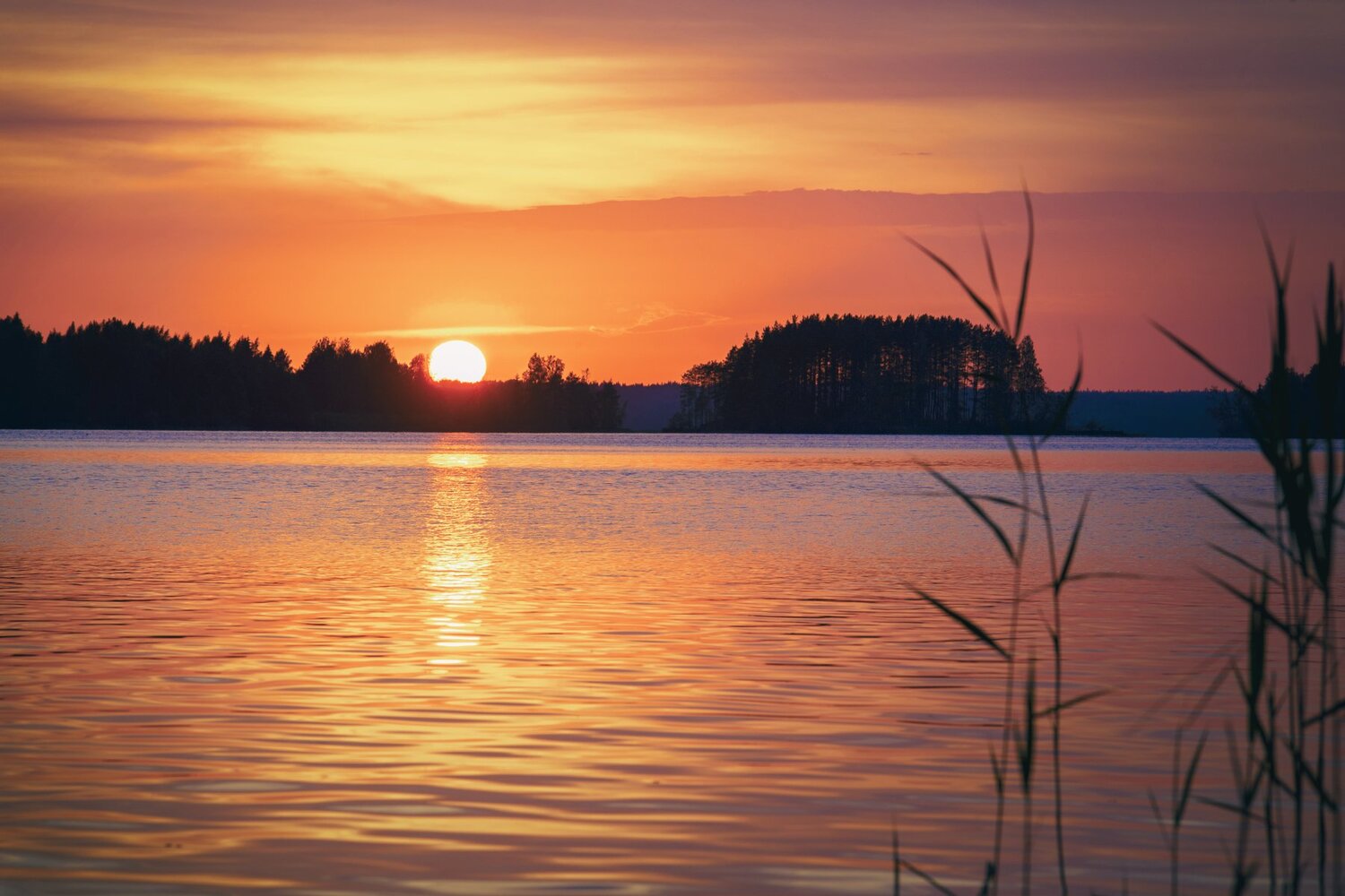 Photo #4682882