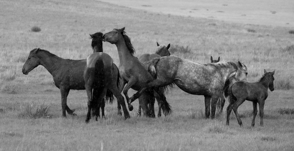 Photograph by Наталья Юрова