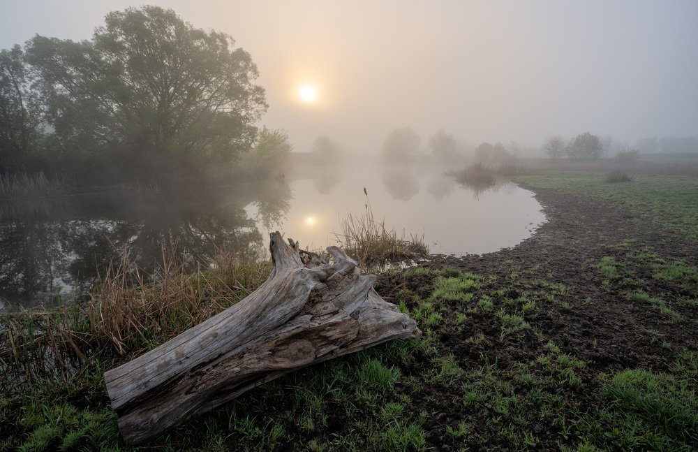 Photograph by Александр Бредихин