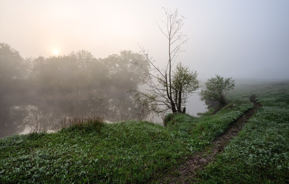 Photograph by Александр Бредихин