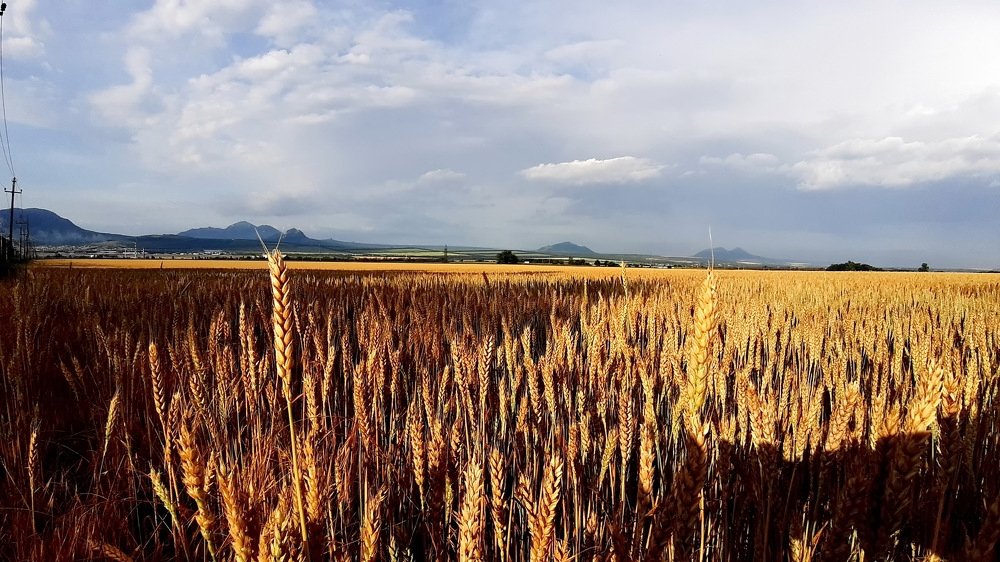 Photograph by Александр