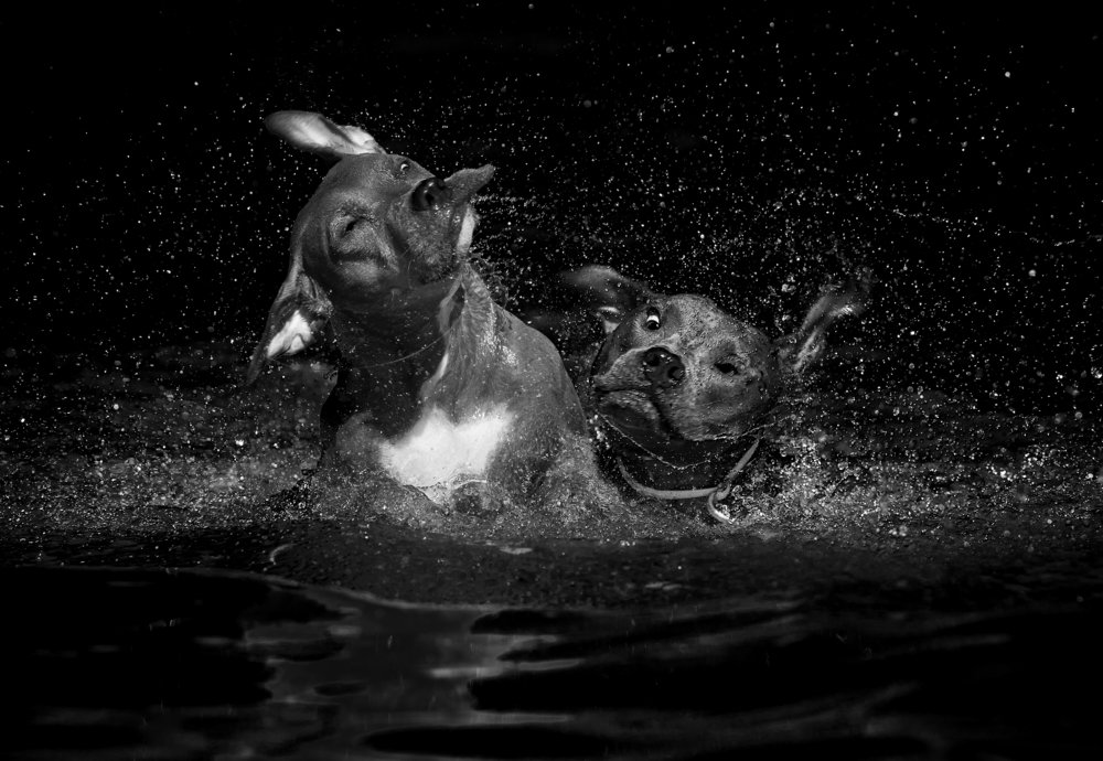 Photograph by Alexandre Marques