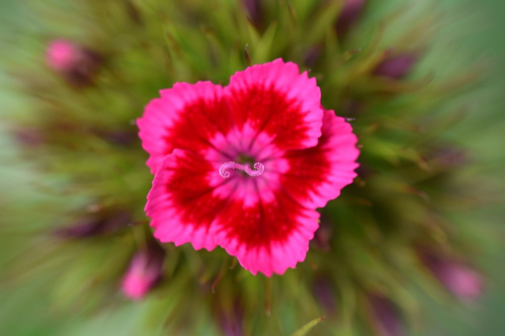 Photograph by Семен Батов