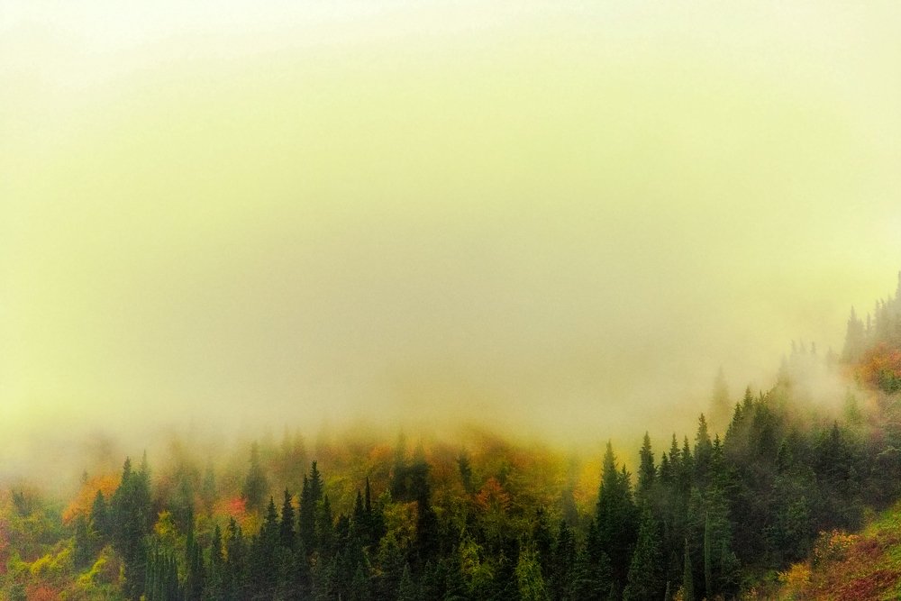 Photograph by Chia Hasankhali