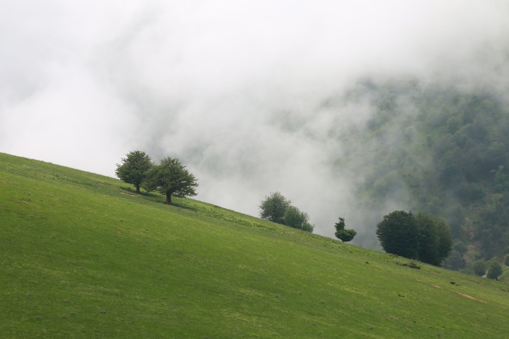 Photograph by Chia Hasankhali